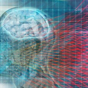 PROGRAMA DE AMPLIACION EN PROCESOS DE APRENDIZAJE