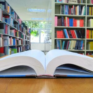 PREA EN INVESTIGACION HISTORICA