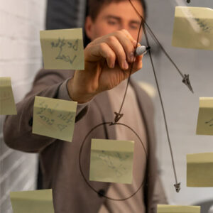 Especializacion en desarrollo organizacional